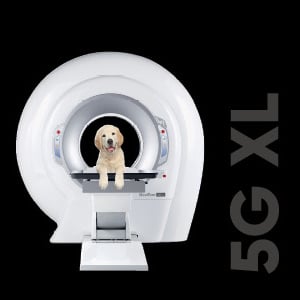 5GXL