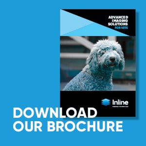 Download our brochure